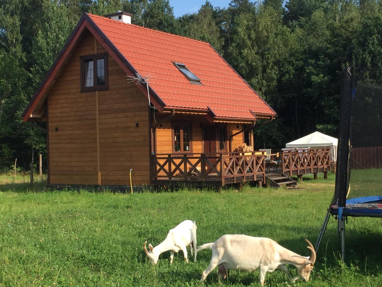 Villa Wypoczynek Na Mazurach U Sebka Łukta Exterior foto
